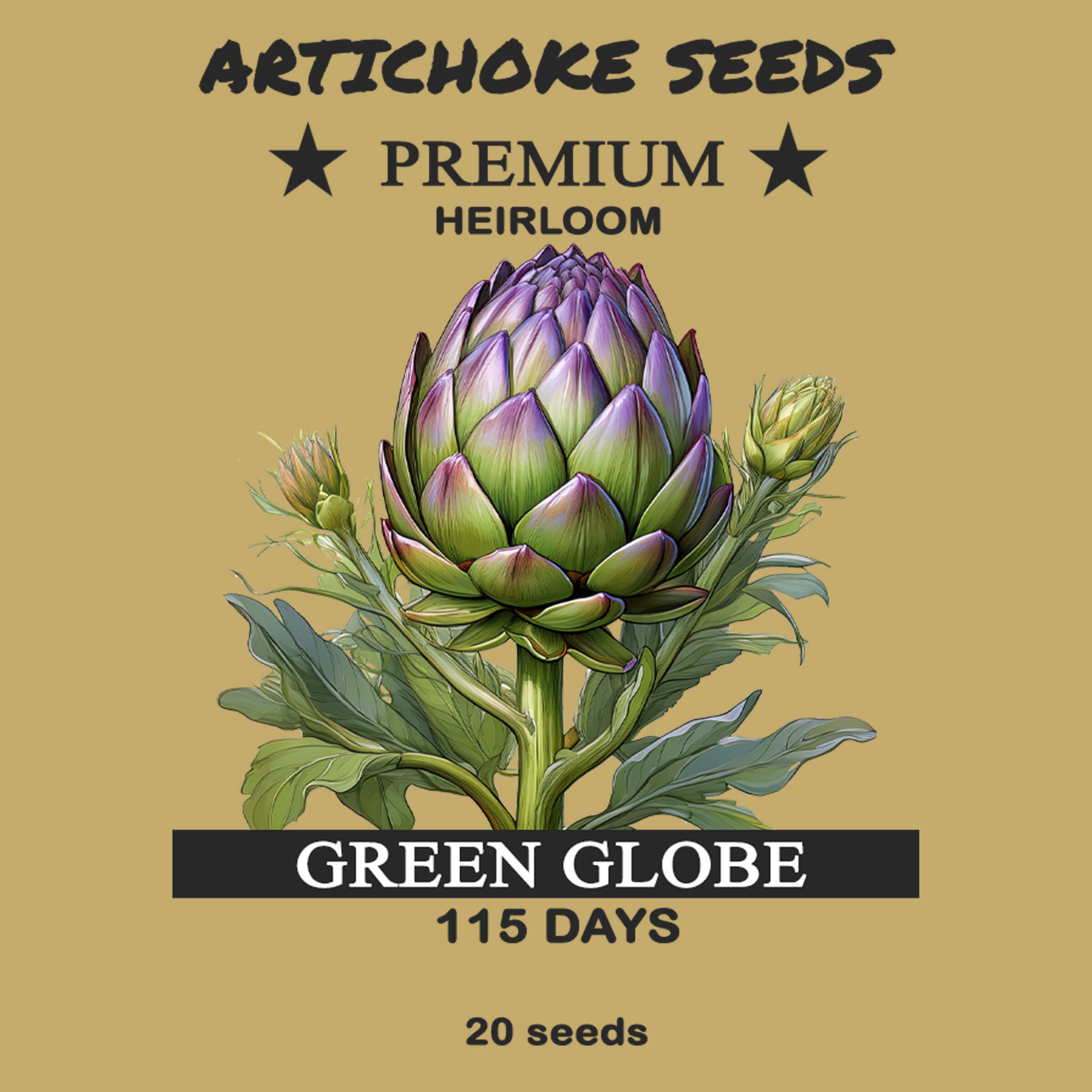 Artichoke Seeds - Green Globe
